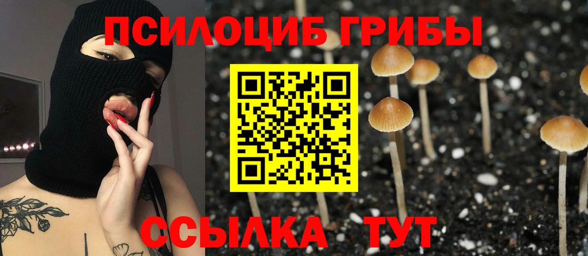 Псилоцибиновые грибы GOLDEN TEACHER  Псилоцибиновые грибы MAGIC MUSHROOMS  Вход с VPN  Йошкар-Ола 